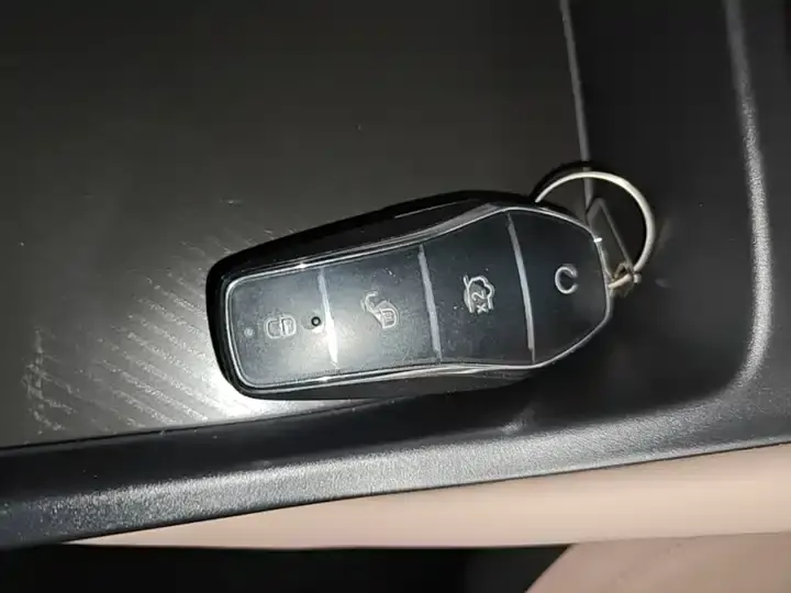 Seagull 2025 Smart Driving Edition 305km Vital Edition 9
