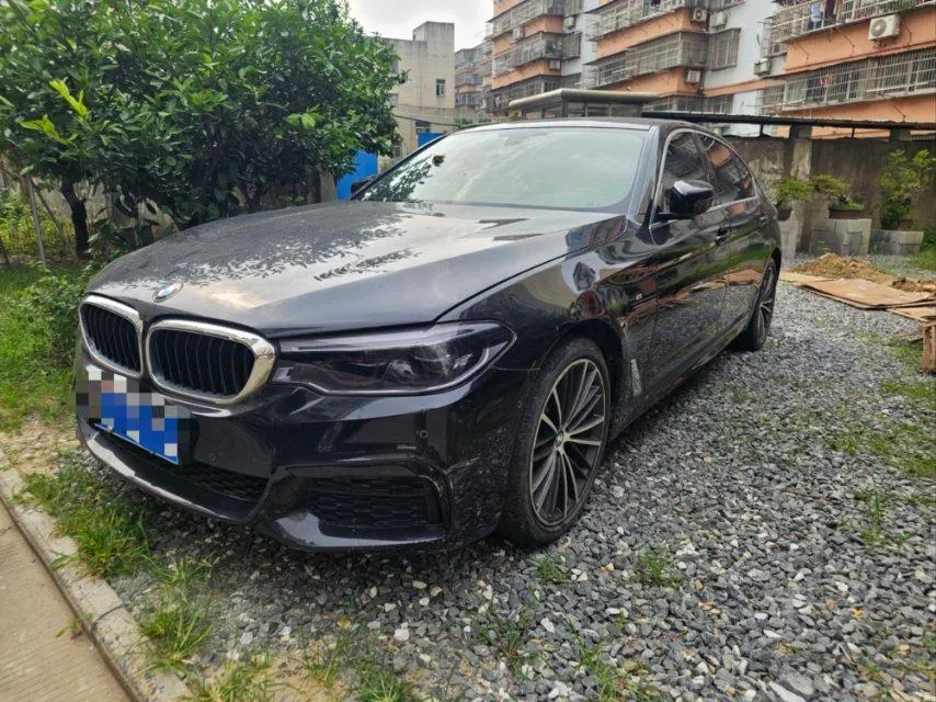 BMW 5 Series 2020 530Li 2.0T Leading M Sports Suit Automatic Gear - View 1