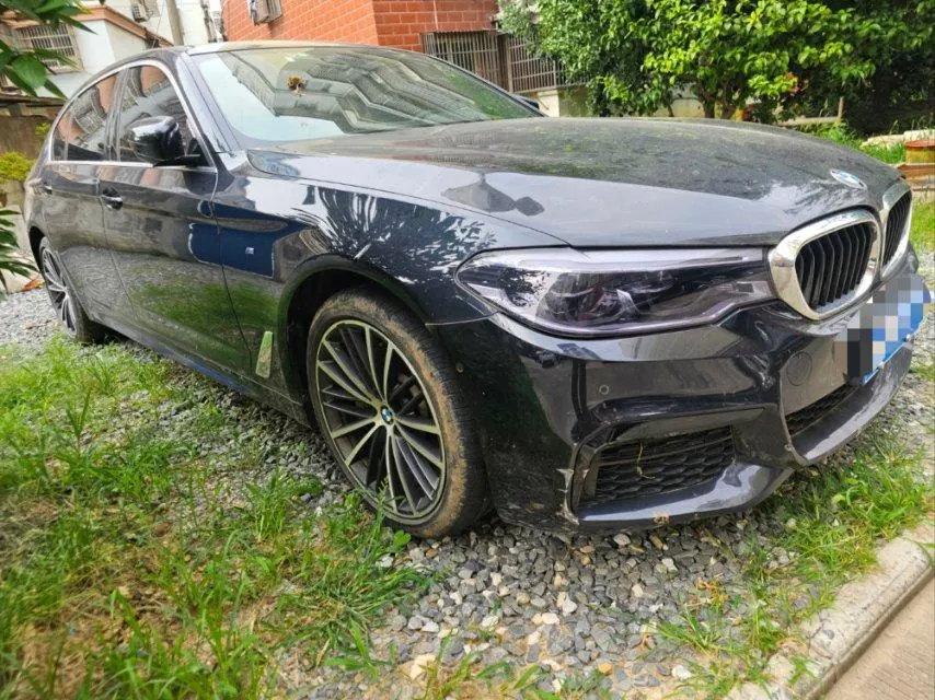 BMW 5 Series 2020 530Li 2.0T Leading M Sports Suit Automatic Gear 2