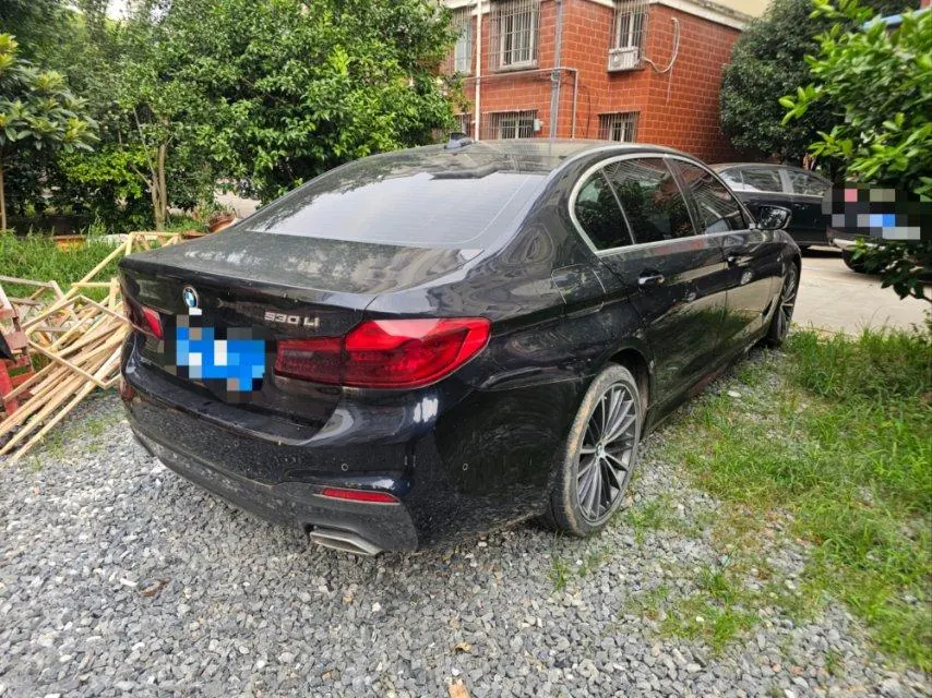 BMW 5 Series 2020 530Li 2.0T Leading M Sports Suit Automatic Gear 7