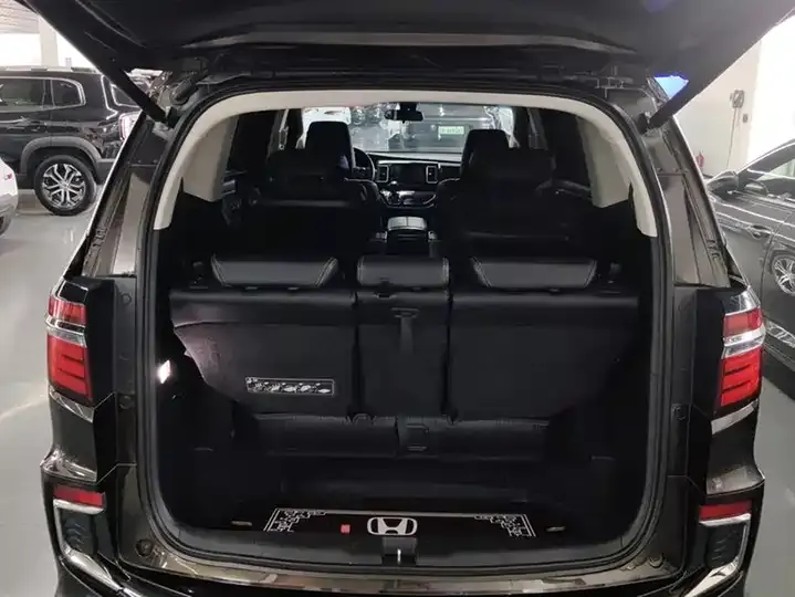 Elyson 2019 2.0L Hybrid Deluxe Edition 4