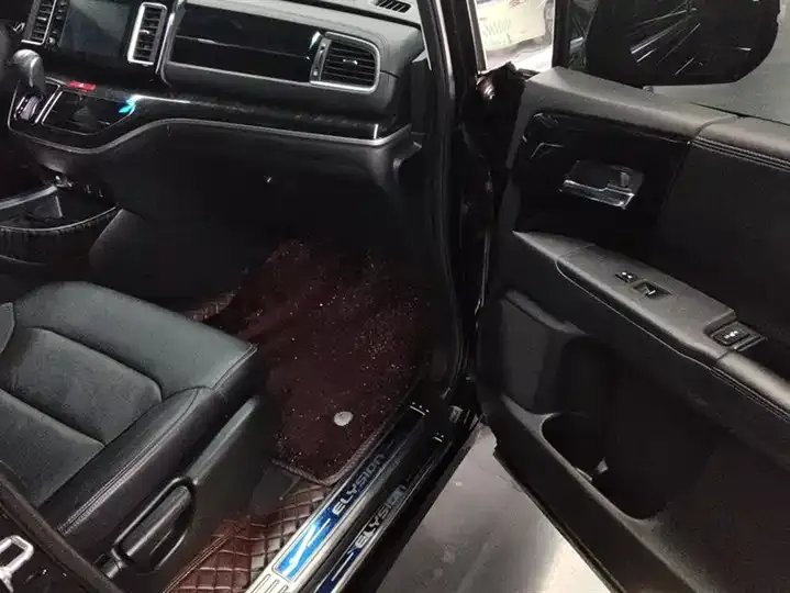 Elyson 2019 2.0L Hybrid Deluxe Edition 8