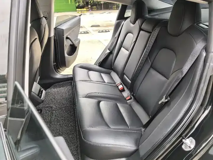 2022 Model 3 Rear-Wheel Drive Version 7