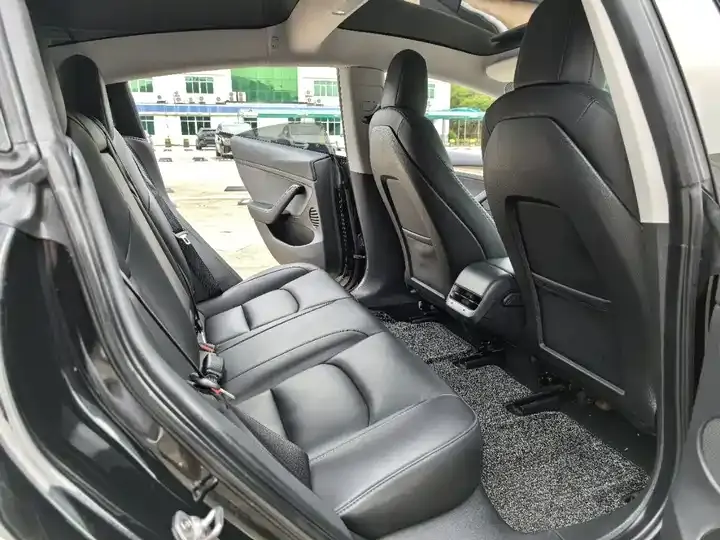 2022 Model 3 Rear-Wheel Drive Version 8