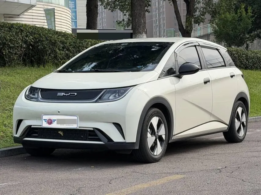 BYD 2023 Dolphins 420km Free Edition Automatic - View 1
