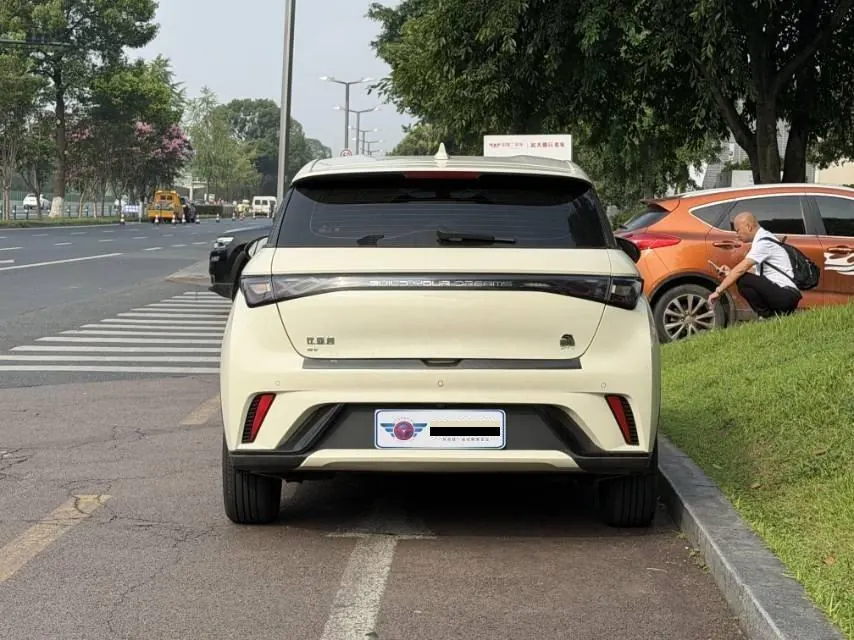 BYD 2023 Dolphins 420km Free Edition Automatic 2