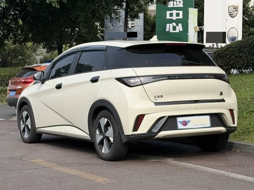 BYD 2023 Dolphins 420km Free Edition Automatic 3