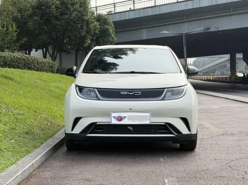 BYD 2023 Dolphins 420km Free Edition Automatic 5