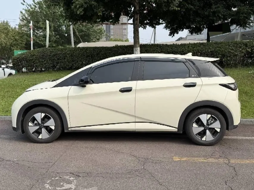 BYD 2023 Dolphins 420km Free Edition Automatic 8