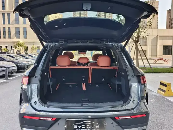Tang L 2025 EV 600KM four-wheel drive laser Radar flagship 11