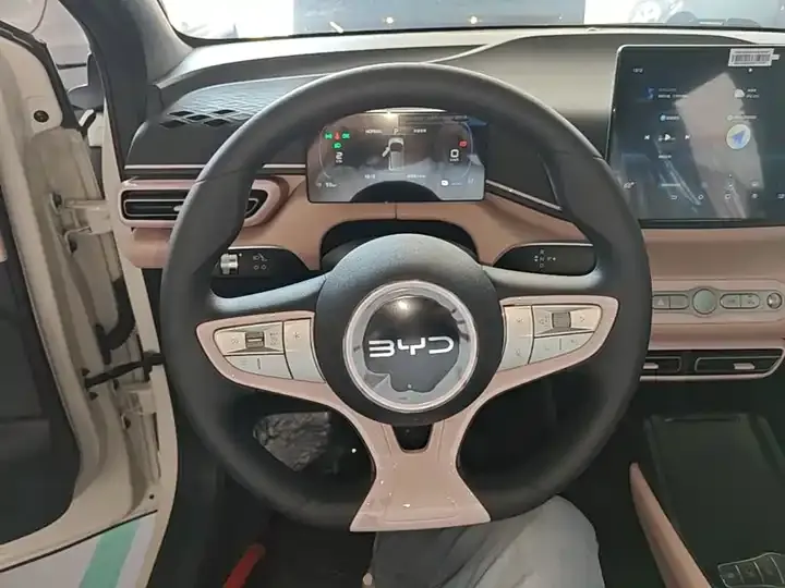 Seagull 2025 Smart Driving Edition 305km Vital Edition 11