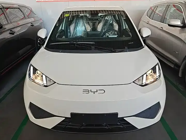 Seagull 2025 Smart Driving Edition 305km Vital Edition 3