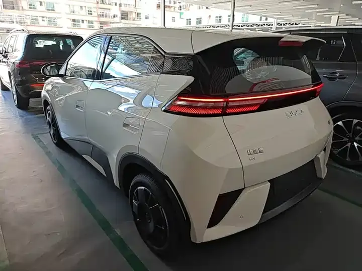 Seagull 2025 Smart Driving Edition 305km Vital Edition 5