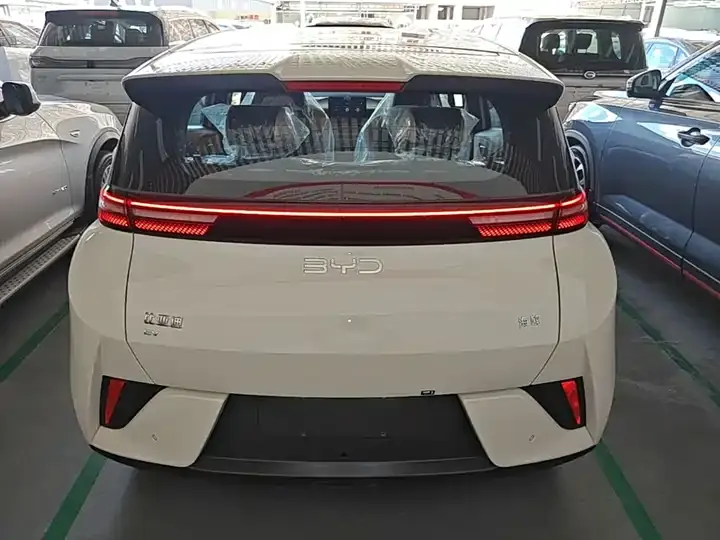 Seagull 2025 Smart Driving Edition 305km Vital Edition 6