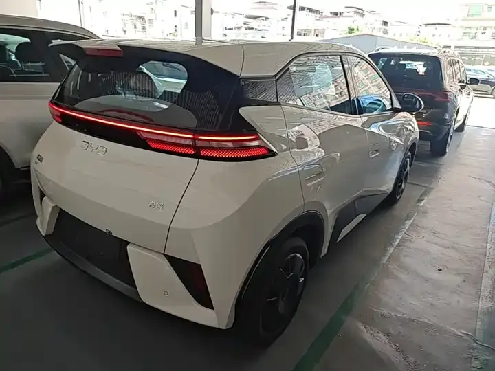 Seagull 2025 Smart Driving Edition 305km Vital Edition 7