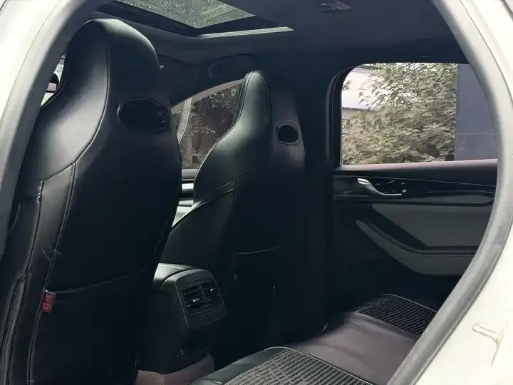 Qin PLUS 2021 EV 500KM Luxury Model 5