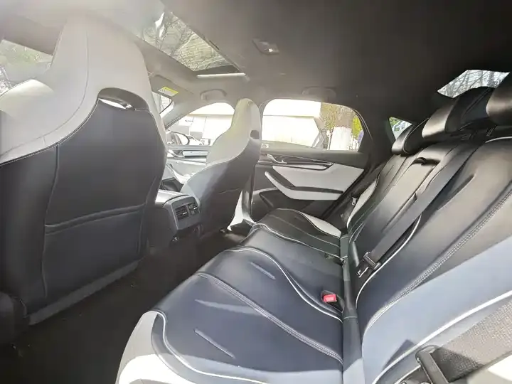 Qin PLUS 2021 EV 500KM Luxury Model 7