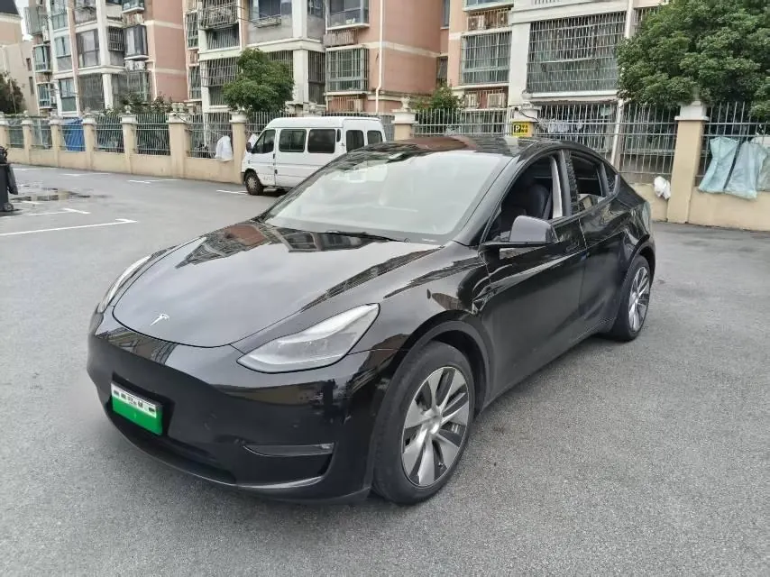 Tesla 2021 Model Y Standard Endurance Rear Drive Automatic Gear - View 1