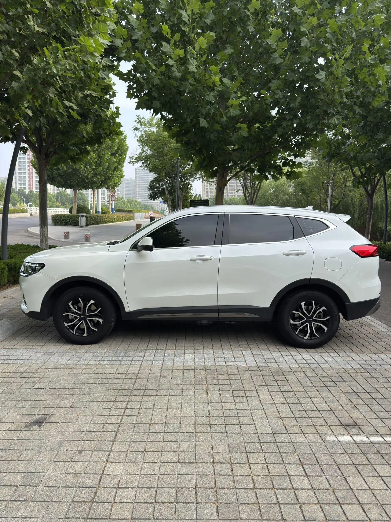 Haval 2021 H6 1.5T National Tide Edition Urban Edition Automatic Gear 4