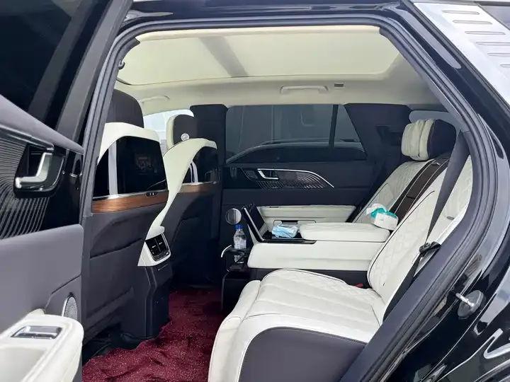 HongQi E-HS9 2021 510km Flag Collar Edition 4 10