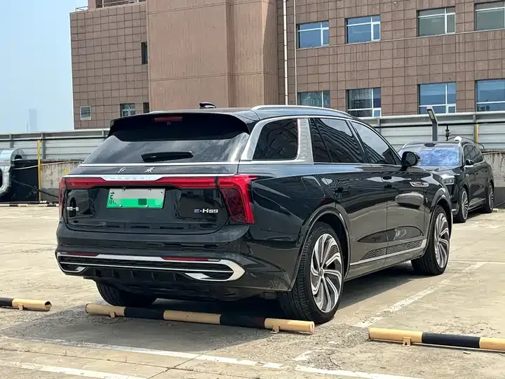 HongQi E-HS9 2021 510km Flag Collar Edition 4 4