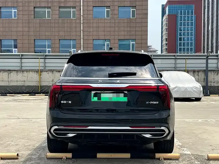 HongQi E-HS9 2021 510km Flag Collar Edition 4 5