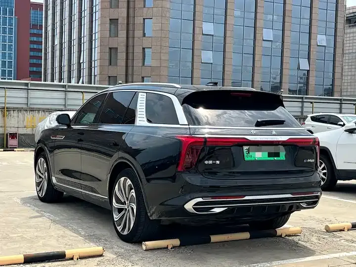 HongQi E-HS9 2021 510km Flag Collar Edition 4 6