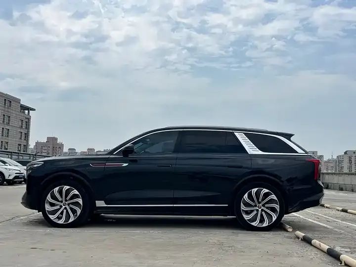 HongQi E-HS9 2021 510km Flag Collar Edition 4 7