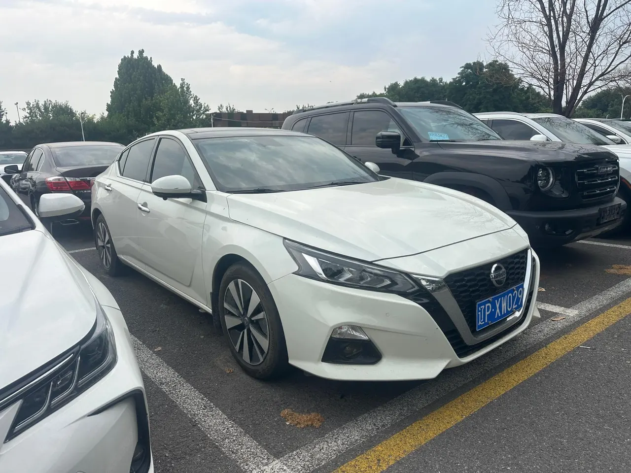 Nissan 2021 Teana 2.0 Stepless XL Comfort Edition Automatic Gear 3