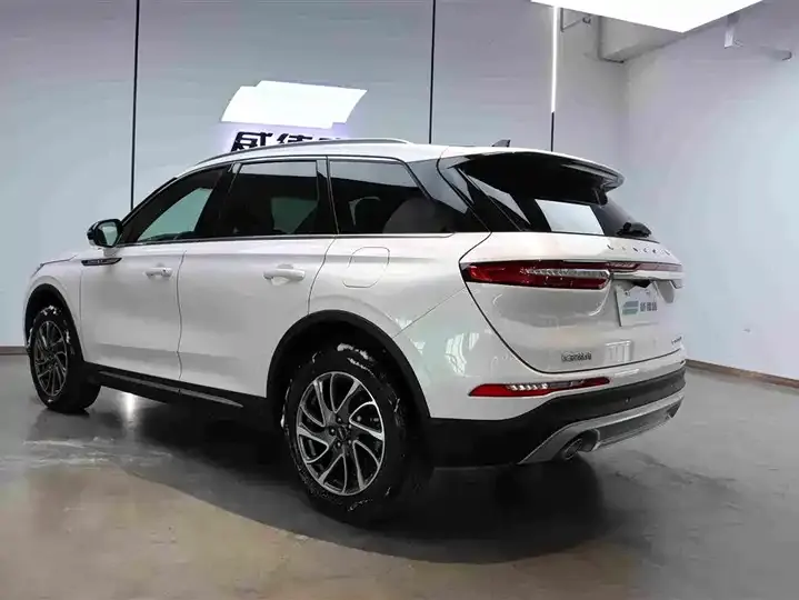 Adventurer 2021 2.0T 4-wheel drive elegant version 3