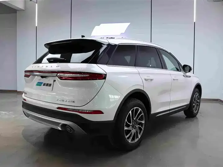 Adventurer 2021 2.0T 4-wheel drive elegant version 4