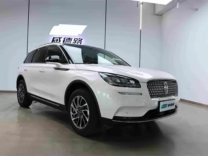 Adventurer 2021 2.0T 4-wheel drive elegant version 5