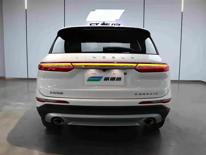 Adventurer 2021 2.0T 4-wheel drive elegant version 6