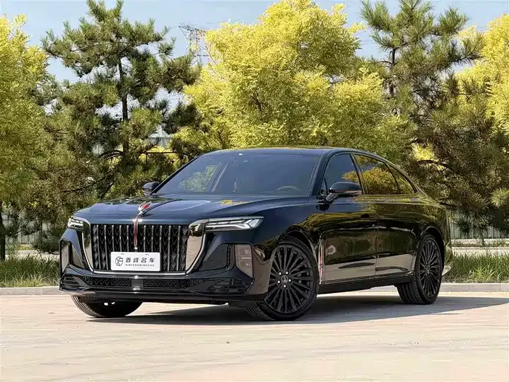 HongQi H9 2025 2.0T Two-Drive Flag Enjoy Private Fashion Edition 5 - View 1