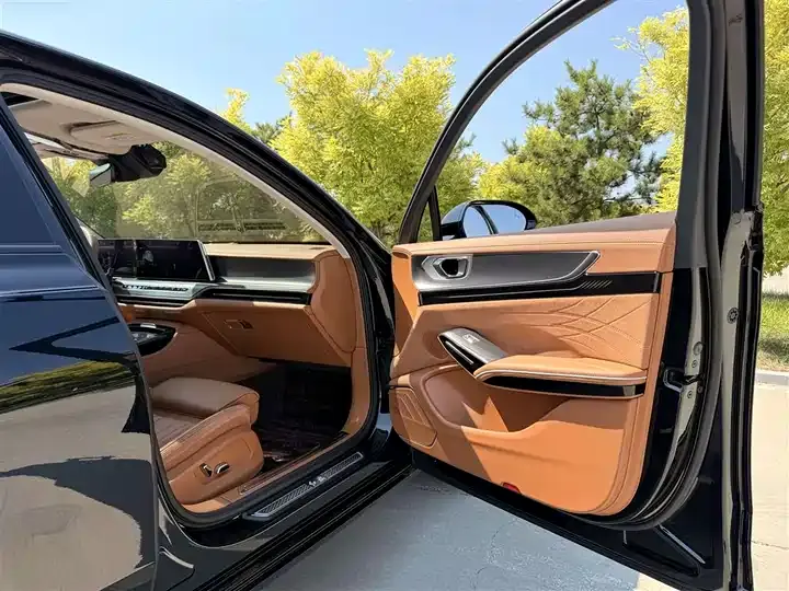HongQi H9 2025 2.0T Two-Drive Flag Enjoy Private Fashion Edition 5 9