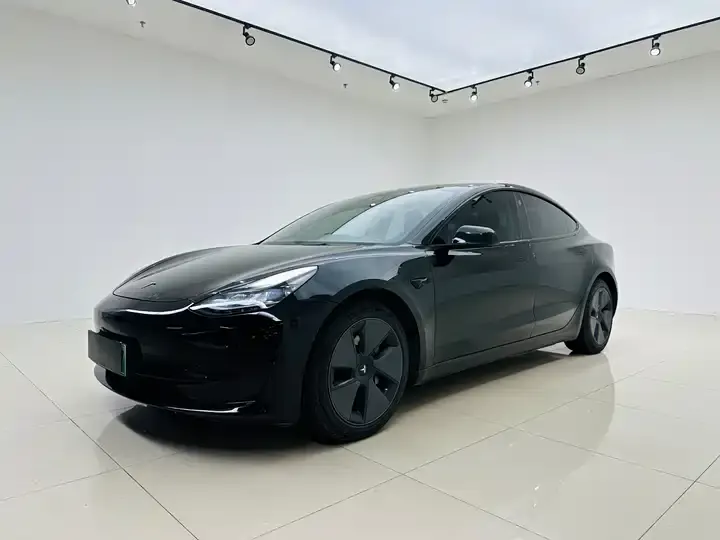 Model 3 2021 model facelift standard endurance rear drive upgrade 3D1 - View 1