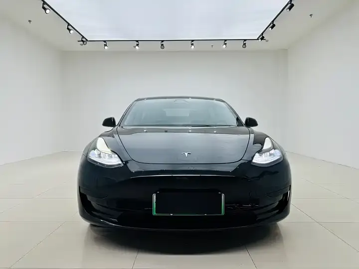 Model 3 2021 model facelift standard endurance rear drive upgrade 3D1 2