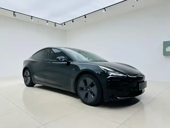 Model 3 2021 model facelift standard endurance rear drive upgrade 3D1 3