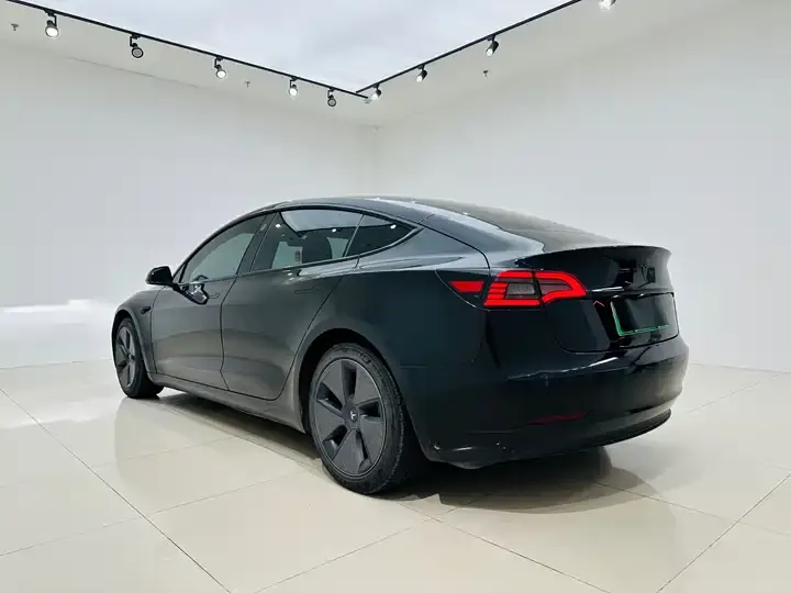 Model 3 2021 model facelift standard endurance rear drive upgrade 3D1 4