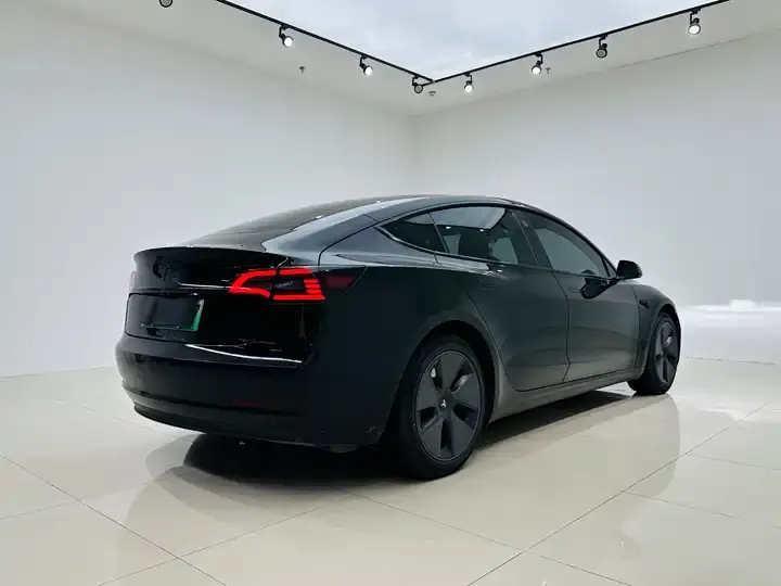 Model 3 2021 model facelift standard endurance rear drive upgrade 3D1 6