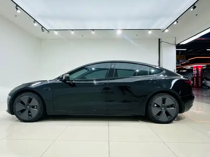 Model 3 2021 model facelift standard endurance rear drive upgrade 3D1 7