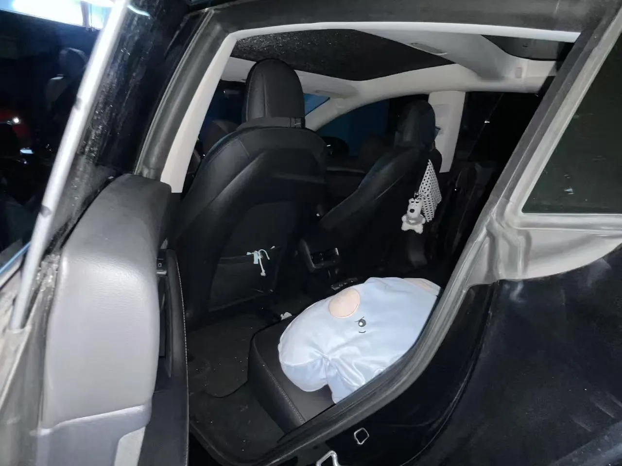 Tesla 2021 Model 3 Standard Endurance Rear Drive Upgraded Automatic Gear 3