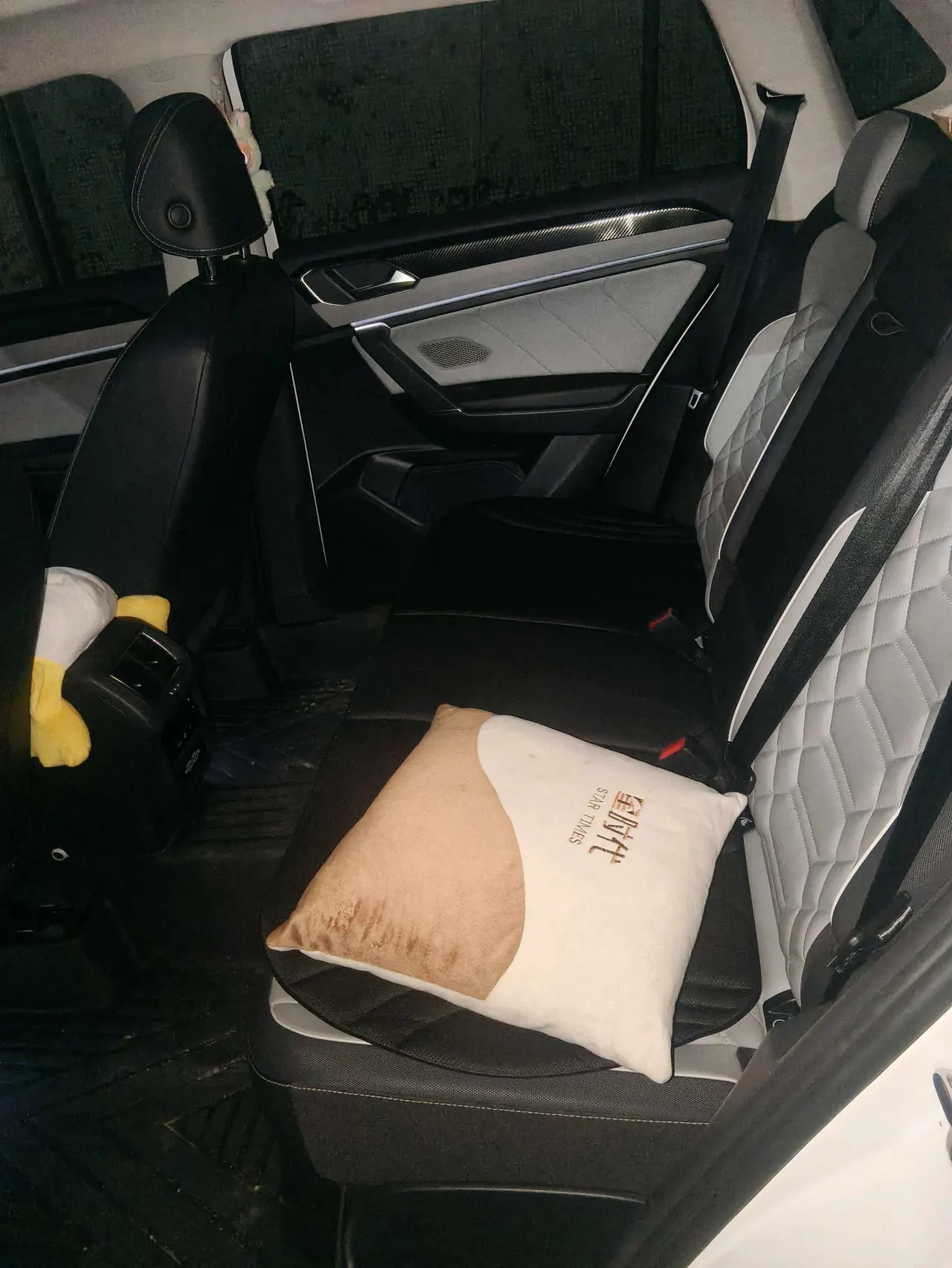 Volkswagen 2023 Tanyue 2.0TSI 330TSI Two-Drive Luxury Plus Advanced Edition Automatic Gear 5