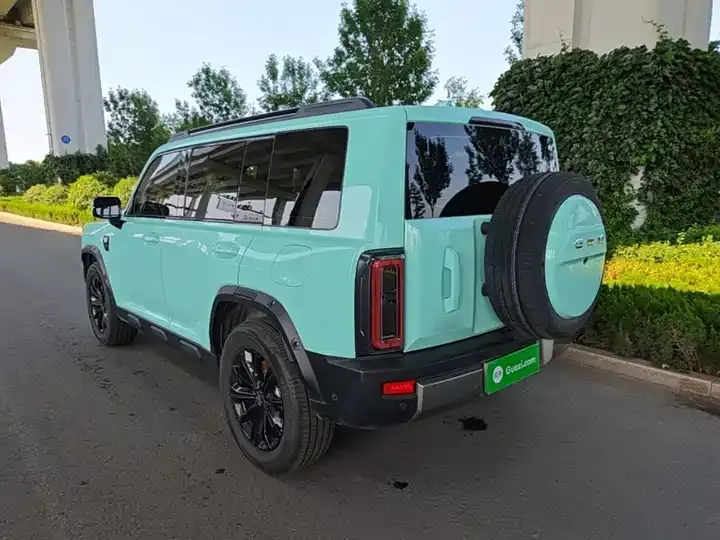 Haval Raptors New Energy 2026 Hi 4 200 Ultra Pilot Edition Ternary Lithium 5