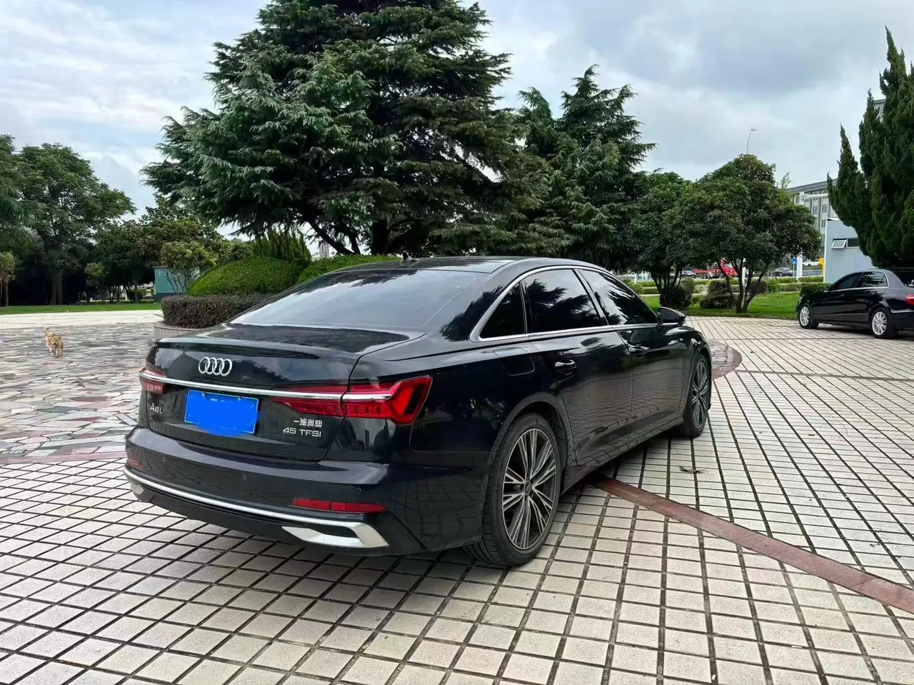 Audi 2023 A6L 2.0TFSI 45TFSI Selected Dynamic Automatic 8