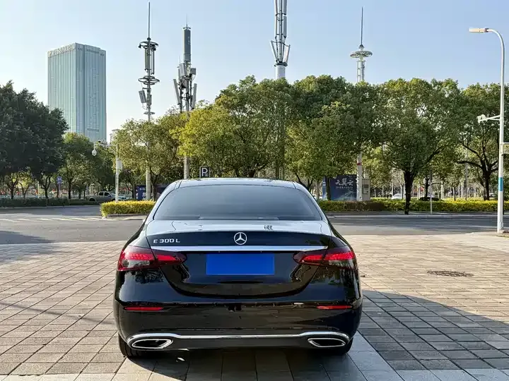 Mercedes Benz E-Class 2023 E 300 L Luxury Model 8