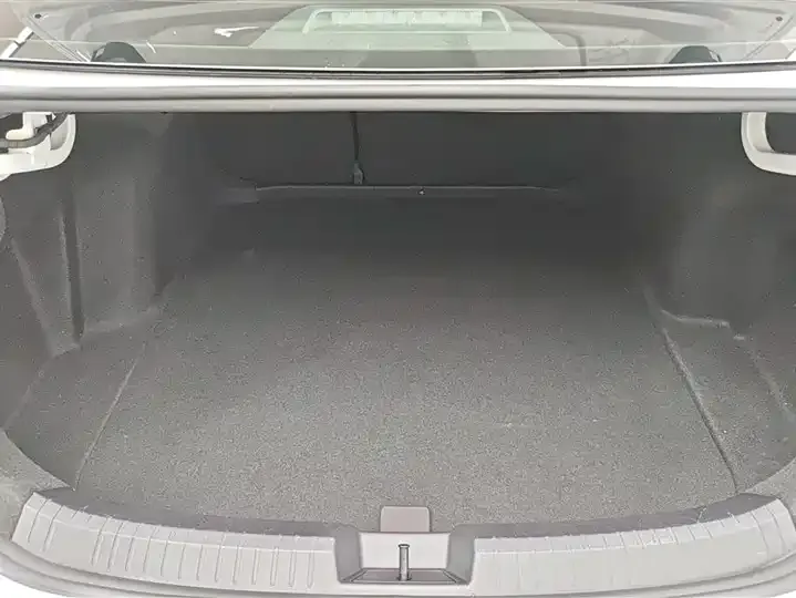 Sagittarius 2024 200TSI DSG Flying Edition 4