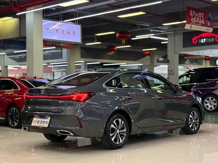 Eado 2024 PLUS, Blue Whale NE 1.4T GDI DCT High-Power Version 2