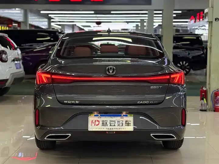 Eado 2024 PLUS, Blue Whale NE 1.4T GDI DCT High-Power Version 5