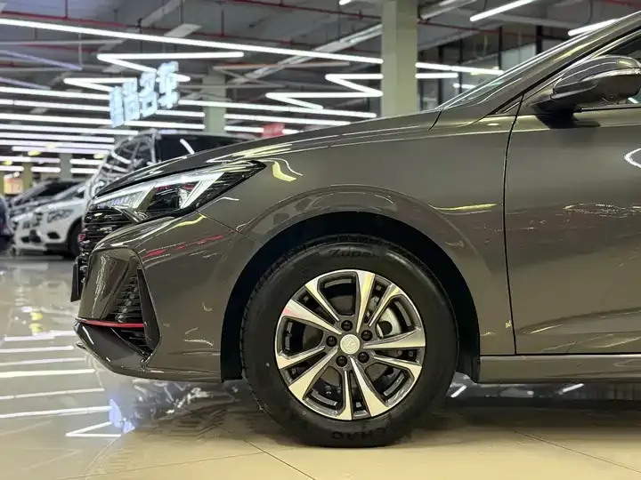 Eado 2024 PLUS, Blue Whale NE 1.4T GDI DCT High-Power Version 6